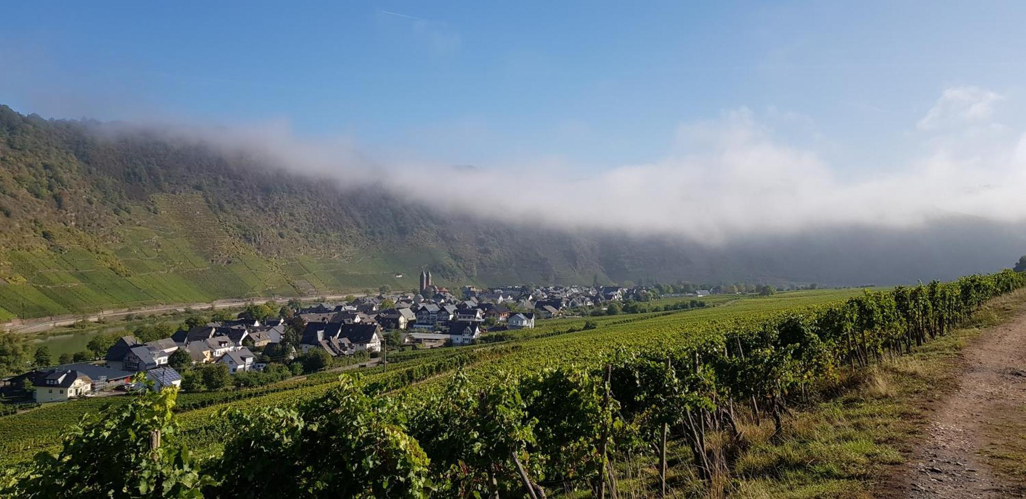 Weinhotel Sonnenschein Ernst Luaran gambar