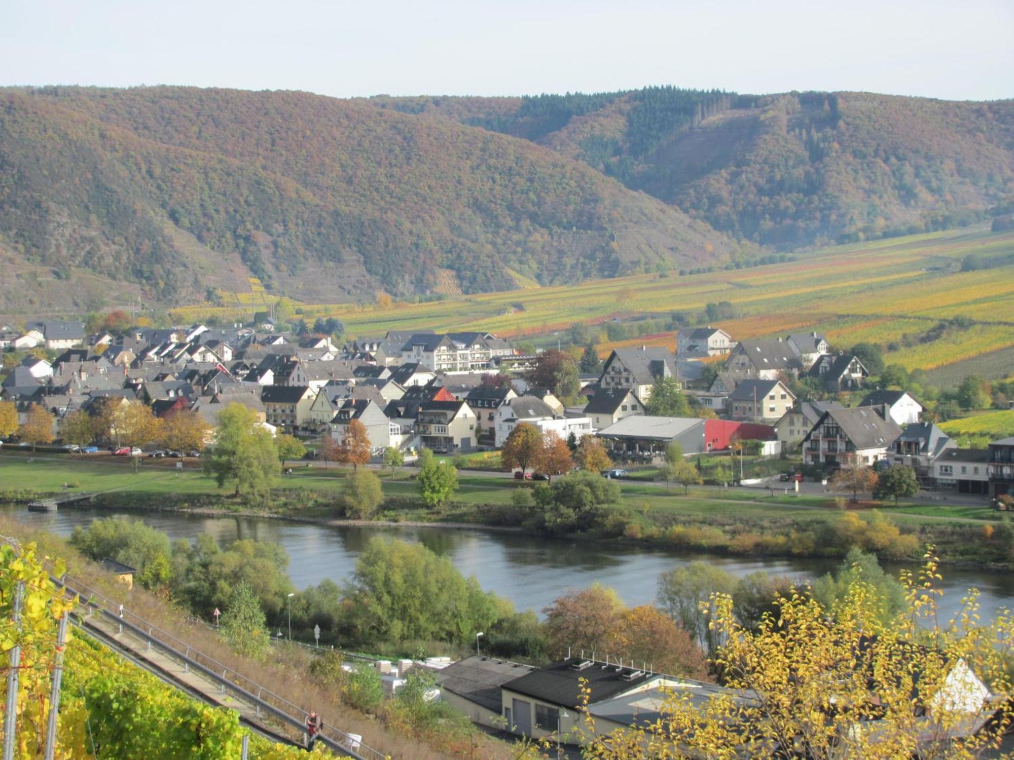 Weinhotel Sonnenschein Ernst Luaran gambar